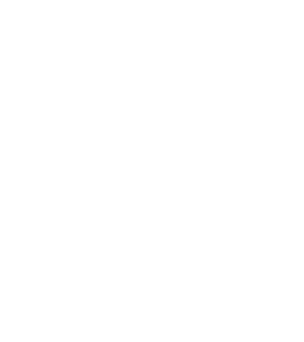 Licnce informatique logo